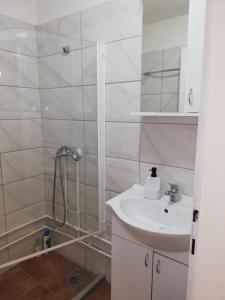 a bathroom with a shower and a sink at Blue Carpet Rooms in Niš