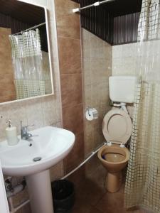 Vannituba majutusasutuses Blue Carpet Rooms