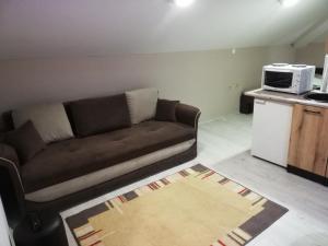 a living room with a couch and a microwave at Blue Carpet Rooms in Niš