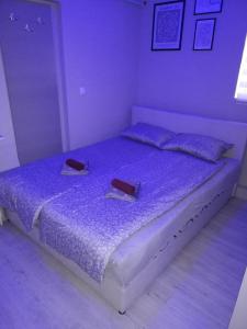 Voodi või voodid majutusasutuse Blue Carpet Rooms toas
