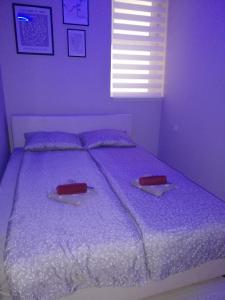 Voodi või voodid majutusasutuse Blue Carpet Rooms toas