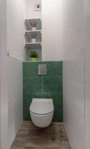 ein grünes und weißes Badezimmer mit WC. in der Unterkunft Geodezyjna'70 Cozy Rooms P1 in Warschau