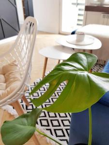 a living room with a white chair and a plant at MoreLove I in Sandomierz
