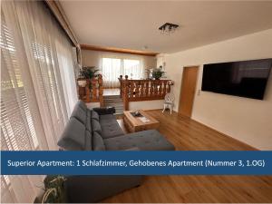 a living room with a couch and a tv at Apartments Katarina in Fieberbrunn