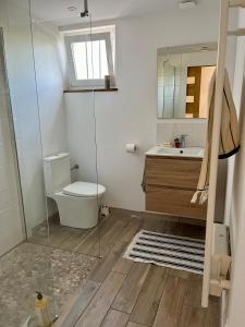 y baño con aseo, lavabo y espejo. en Le Pistachier - Maison cozy avec jardin privatif, en Saint-Jean-de-Védas