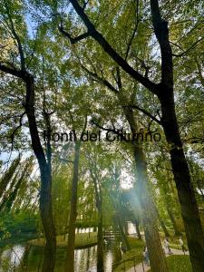 Příroda nedaleko apartmánu