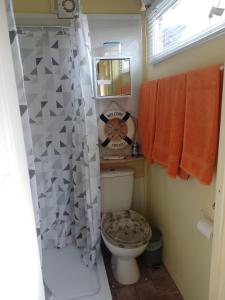 y baño con aseo y cortina de ducha. en STUDIO PAD en Cardiff