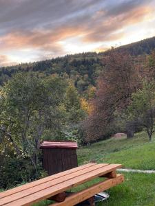 un banco de madera sentado en un campo con árboles en Apartment Klingerček en Banská Štiavnica