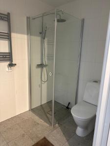 ein Bad mit einem WC und einer Glasdusche in der Unterkunft Snäckbacken in Visby