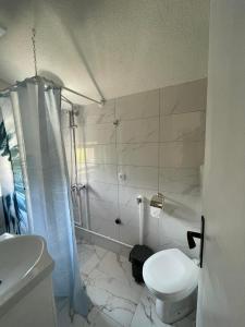 ห้องน้ำของ Apartman Jovanović