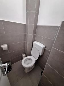 ein Badezimmer mit einem weißen WC in einer Kabine in der Unterkunft Flataid Apartment Elisabethinergasse in Graz