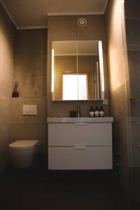 W łazience znajduje się umywalka, toaleta i lustro. w obiekcie Lovely Modern 1 BR apartment w Luksemburgu