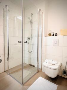 y baño con ducha de cristal y aseo. en Casa Bella Metzingen, en Metzingen