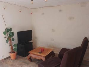 a living room with a tv and a coffee table at Logement rénové proche forêt in Baud