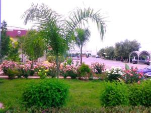een tuin met palmbomen en bloemen in een park bij HOTEL OUM EL FADL in Fkih Ben Salah