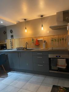 Dapur atau dapur kecil di Gite De Lasbareilles