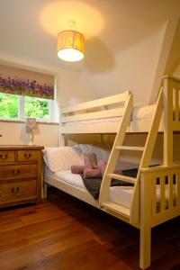a bedroom with a bunk bed with a ladder at The Farthings Cotswolds Holiday Cottage in Chipping Campden