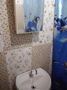 La salle de bains est pourvue d'un lavabo et d'un miroir. dans l'établissement Estanislao López 127, à Puerto Iguazú