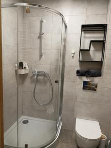 een badkamer met een douche en een toilet bij Szum Łomnicy in Karpacz