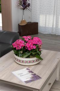 a vase of pink flowers sitting on a table at Vila Lavanda in Bribir