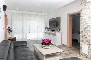 TV a/nebo společenská místnost v ubytování Vila Lavanda + 37 fotografií