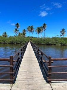 a wooden bridge over a river with palm trees at Villa Jucá Casa 03 in Pôrto de Pedras