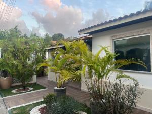 ein Haus mit Palmen im Hof in der Unterkunft Casa em Condomínio, Piscina Privativa e Área Gourmet in Camaçari