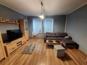 a living room with a couch and a flat screen tv at Apartament Centrum 2 in Wałbrzych