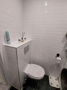 a white bathroom with a toilet and a sink at Apartament Centrum 2 in Wałbrzych