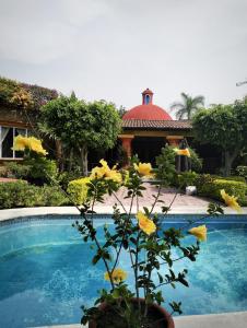 uma planta com flores amarelas ao lado de uma piscina em Quinta Villamarin em Chiconcuac