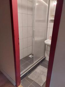 W łazience znajduje się kabina prysznicowa i umywalka. w obiekcie Ladanjska kuća Magistra Erdut w mieście Erdut
