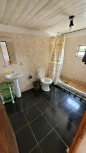 y baño con aseo y lavamanos. en Hostel Haus en Puerto Iguazú