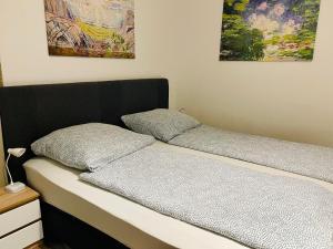 a bed with two pillows on it in a room at Etzel Ferienwohnung (Einzimmerwohnung) in Würzburg