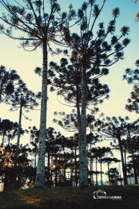 Fotografie z fotogalerie ubytování Refúgio do Lago v destinaci Lages
