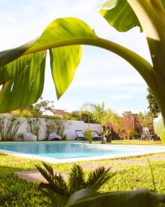 - une piscine dans une cour ornée de plantes dans l'établissement Vila Vale Guest House - Surf & Yoga, à Charneca