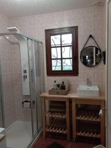 a bathroom with a sink and a shower with a mirror at Le logis de Thaïs in Henrichemont