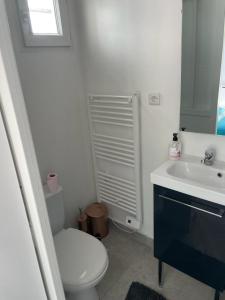 ein Badezimmer mit einem weißen WC und einem Waschbecken in der Unterkunft Studio proche PARIS-orly in Sainte-Geneviève-des-Bois
