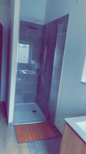 ein Bad mit einer Dusche und einem Waschbecken in der Unterkunft Maison/appartement de campagne in Champvans
