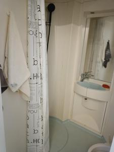 a bathroom with a sink and a shower curtain at Logement 2 in Saint-Quentin