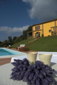 Bazén v ubytování Agriturismo La Burraia vicino a San Gimignano nebo v jeho okolí