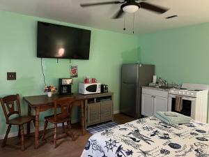 A television and/or entertainment centre at Boat House Studio - Water Front Pets WiFi Smart TV apts