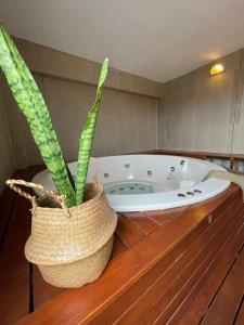 a bath tub with a potted plant on a wooden counter at Hotel Dora in Termas de Río Hondo