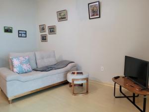 ein Wohnzimmer mit einem Sofa und einem TV in der Unterkunft Nosso Ap em Bento in Bento Gonçalves