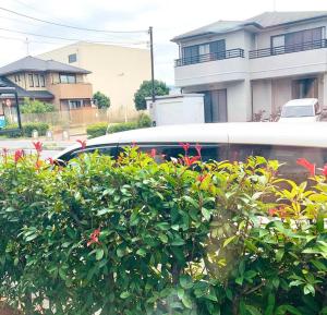 Jardin de l'établissement JOY IN民宿两站关西机场一站奥莱，整租，提供机场接送服务,步行可达便利店、免税购物中心、药妆店