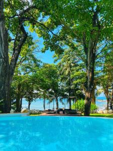 una piscina con árboles y el océano en el fondo en Gigi Brown Beachfront Santa Teresa, en Santa Teresa Beach