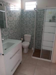 ein Badezimmer mit Toilette, Waschbecken und Dusche in der Unterkunft Maloubière locations in Les Anses-dʼArlets + 9 Fotos