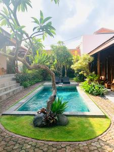 a swimming pool with a tree in the middle of a yard at Jinar Guest House in Canggu