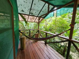 Balkón nebo terasa v ubytování Rio Agujitas Eco jungle - Island and Corcovado tours + 24 fotografií