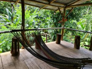 a hammock on a porch in a forest at Rio Agujitas Eco jungle - Island and Corcovado tours in Drake