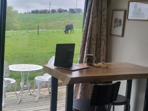 einen Laptop auf einem Tisch auf einem Deck mit einem Pferd auf dem Feld in der Unterkunft Tui Cottage 